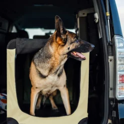 Fudajo Faltbare Transportbox für Hunde, Katzen L (70x52x50cm), robust, leicht, sicher, Hundebox mit Tragegriff und Decke, Beige