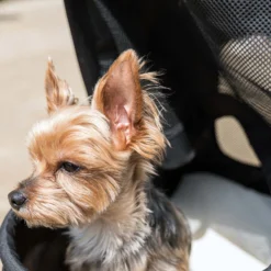 Fudajo 2in1 Hundebuggy zusammenklappbar in Blau, Hundewagen mit abnehmbarer Hundetragetasche, für kleine bis mittlere Hunde und Katzen