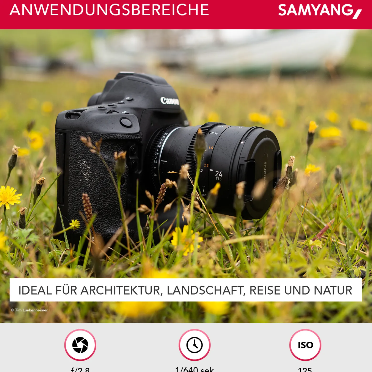 Samyang Weitwinkel Cine- und Video Objektiv MF 24mm T1,5 VDSLR MK2 MFT – lichtstark T1,5 für MFT Mount, 24 mm Festbrennweite, Follow Focus Zahnkränze Vollformat, APS-C und MFT, 8K Auflösung