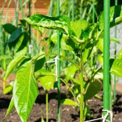 Toboli 10x Pflanzstäbe grün 90 cm Ø 11 mm Rankstäbe aus Metall und Kunststoff, Pflanzstangen für Tomaten und Kletterpflanzen
