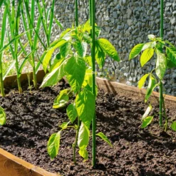 Toboli 20x Pflanzstäbe grün 90 cm Ø 11 mm Rankstäbe aus Metall und Kunststoff, Pflanzstangen für Tomaten und Kletterpflanzen
