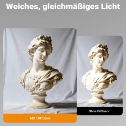 Walimex pro Diffusor für Parabol Reflexschirme Ø 129 cm – Lichtdiffusor für weiches, gleichmäßiges Licht in Fotostudio und Porträtfotografie