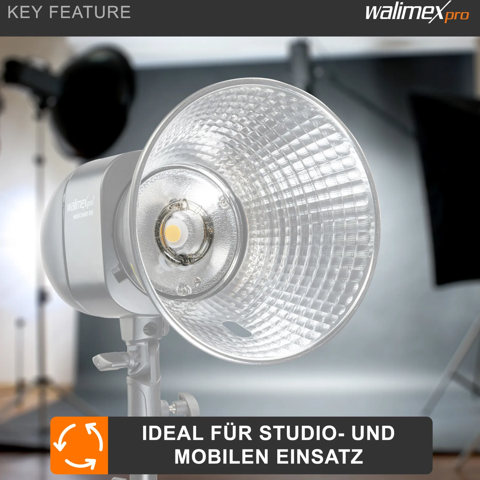 Walimex pro Ersatzblitzröhre für den Studioblitz Newcomer 300/VT-300, Leistungsaufnahme 300W, Farbtemperatur 5400-5800 K, Ersatz Blitz leicht zu wechseln