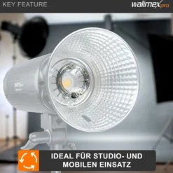 Walimex pro Ersatzblitzröhre für den Studioblitz Campaigner 600 & Stager 600, Leistungsaufnahme 600W, Farbtemperatur 5400-5800 K, Ersatz Blitz leicht zu wechseln