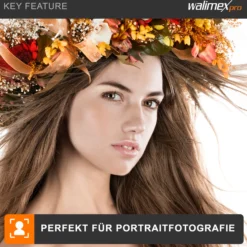 Walimex pro Fotostudio Set mit Softbox 60 cm und 4x LED je 35 W, Soft Box mit 135° Neigung, Studio Beleuchtung mit Diffusor und Daylight Farbtemperatur