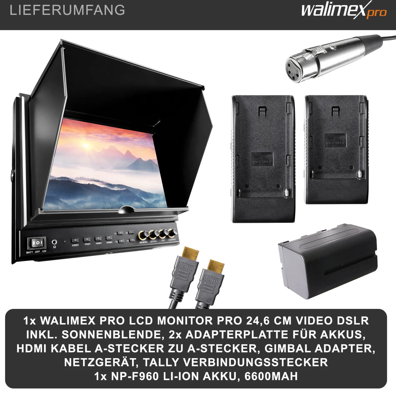 Walimex pro LCD Monitor Director II - Professioneller Video Screen - 24,6 cm / 9,7 Zoll / 1920 x 1080 Pixel, Full HD, 8-fach Zoom, HDMI Out - für Video DSLR Kamera