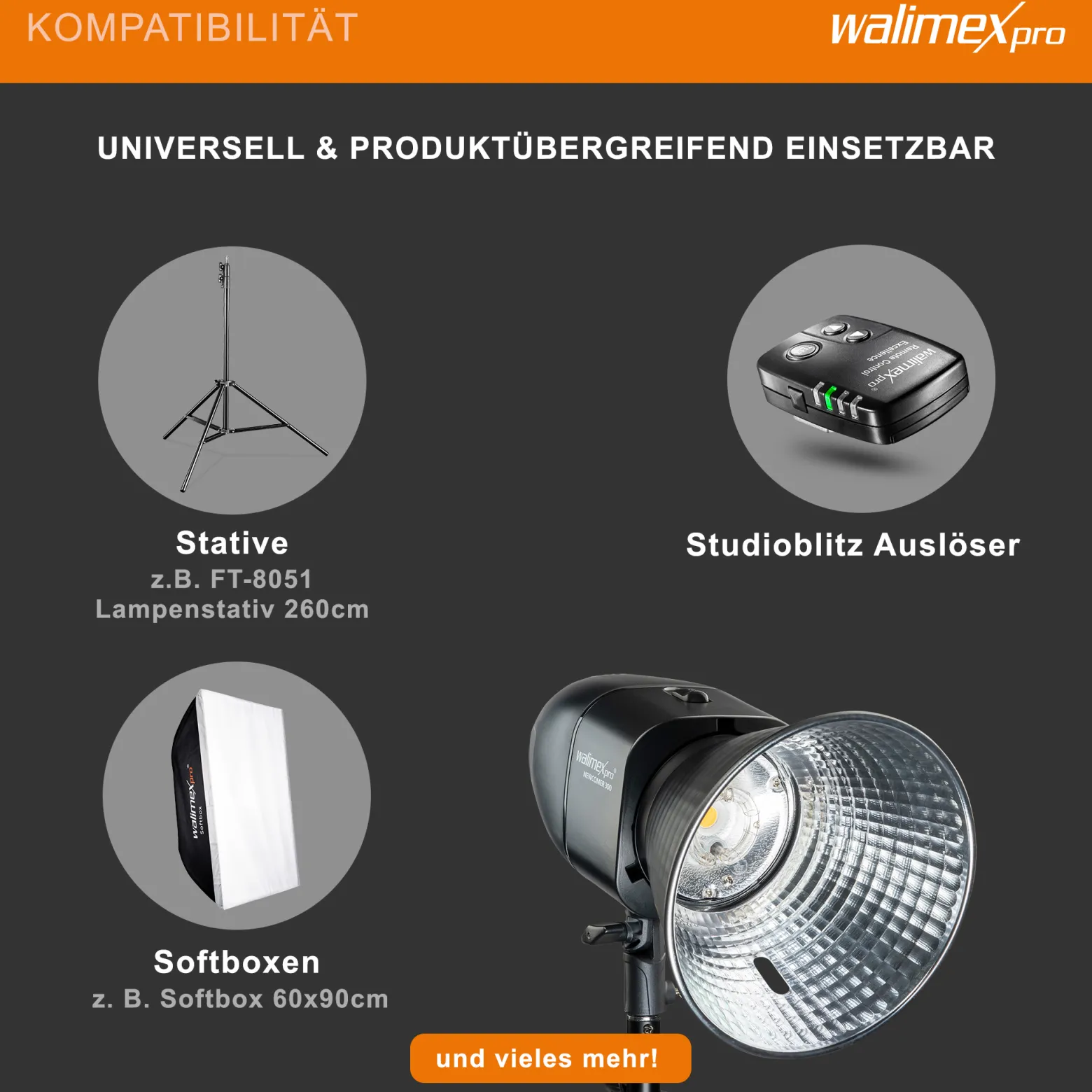 Walimex pro Newcomer 300 II Studioblitz, LED Studiolicht mit Funk, Studiolampe 300 W mit hoher Lichtleistung, Studio Blitz mit Überhitzungsschutz ideal für Fotostudio