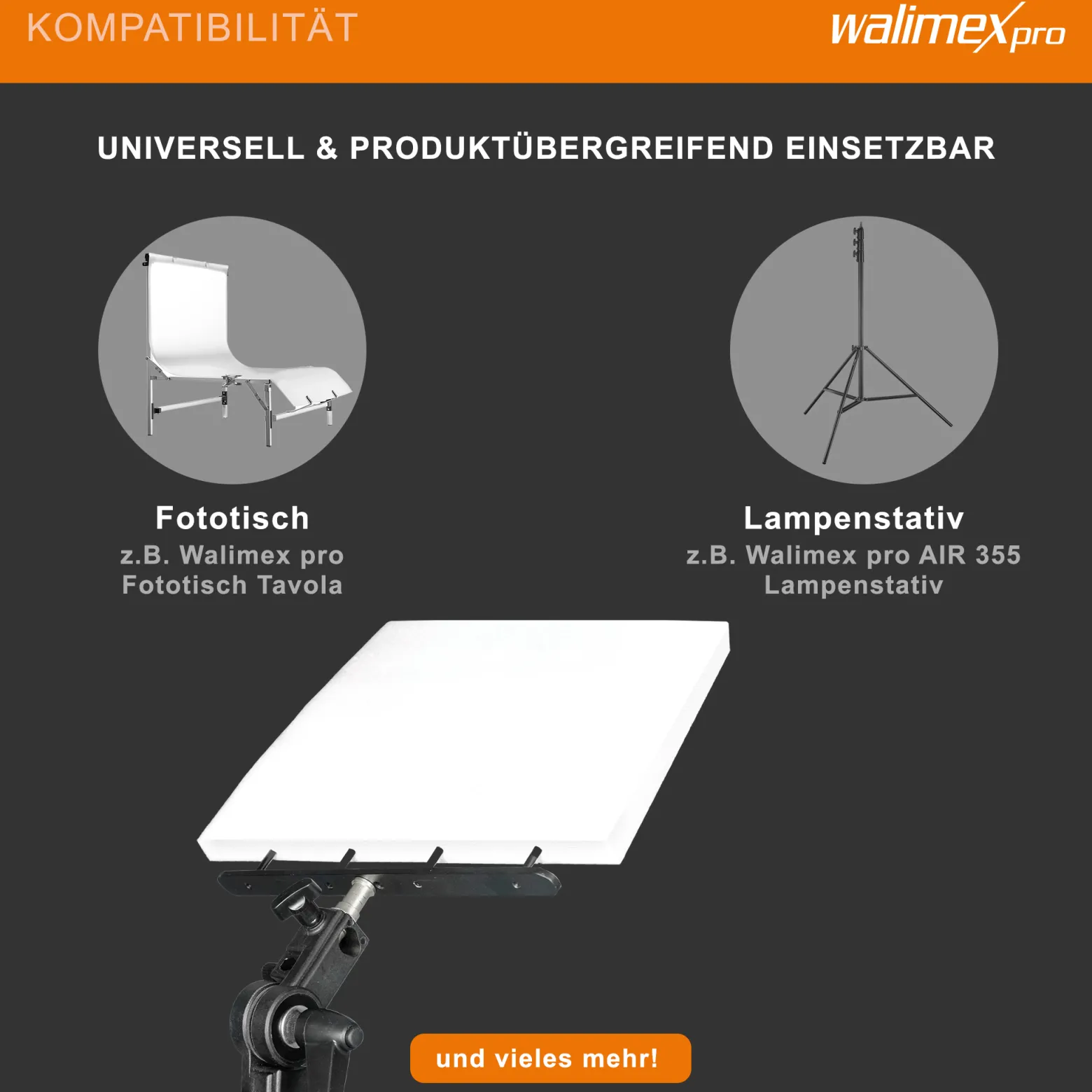 Walimex Styroporgabel mit Halterung, 4-zackige Gabel für Styroporplatten, neigbare Spigot Halterung mit 5/8 Zoll und 1/4 sowie 3/8 Zoll Gewinde, ideal zum Aufhellen und Abdunkeln