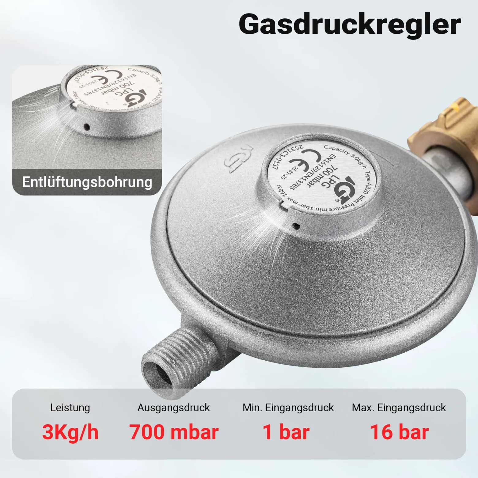 Wiltec Gasdruckminderer Frankreich, Gasdruckregler 700 mbar, 1,5 m Gasschlauch mit Druckminderer, Druckregler für große Geräte, Gasregler für Gasheizgebläse