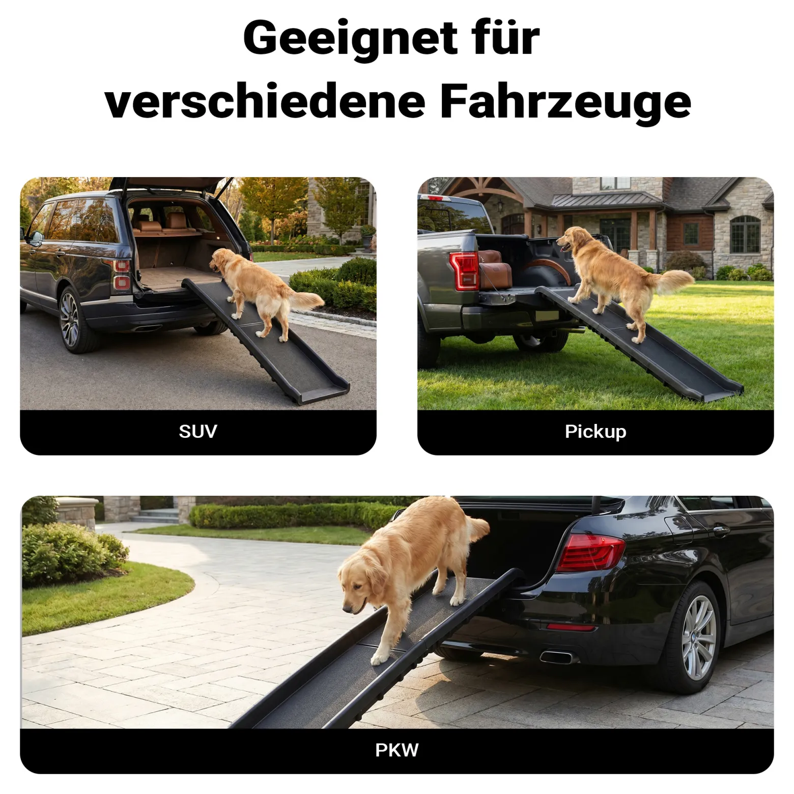 Wiltec Hunderampe 155 x 40 cm 90 kg faltbar Noppen Anti-Rutsch, rutschfeste Autorampe für Hunde, klappbare Einstiegshilfe aus PP fürs Auto, SUV und Pick up