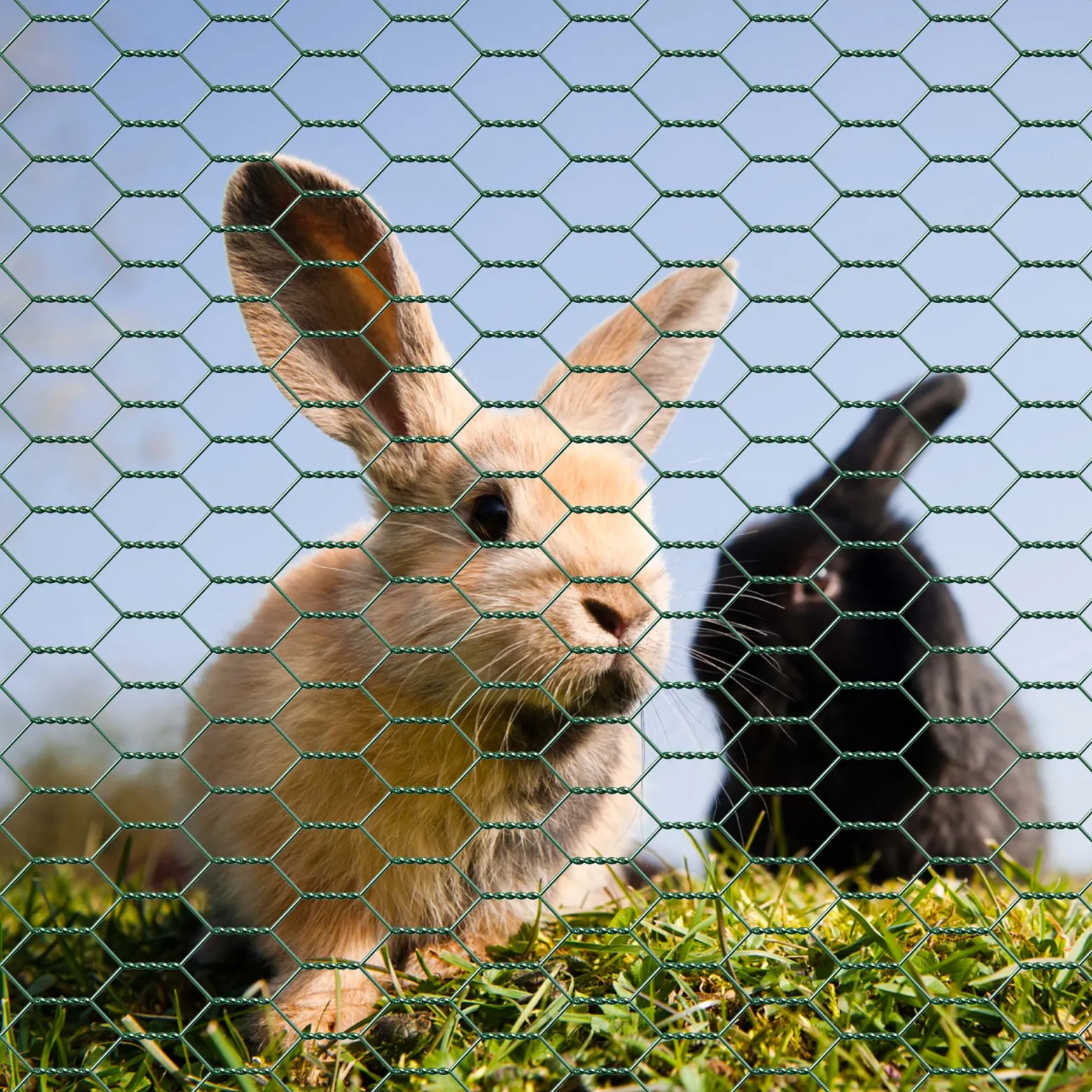 Wiltec Maschendrahtzaun Grün 90 cm x 25 m, 0,9 mm Stärke 25x25 mm Maschengröße, Volierendraht 6-Eck aus Stahl verzinkt, Drahtgitter, Vogeldraht